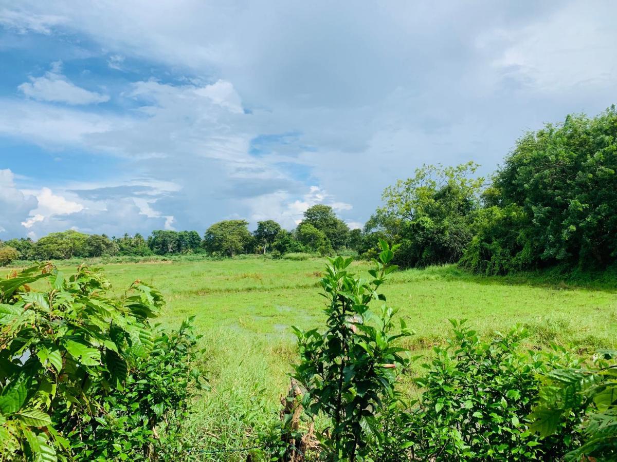 Coco Garden Holiday Homes Anuradhapura Exterior photo