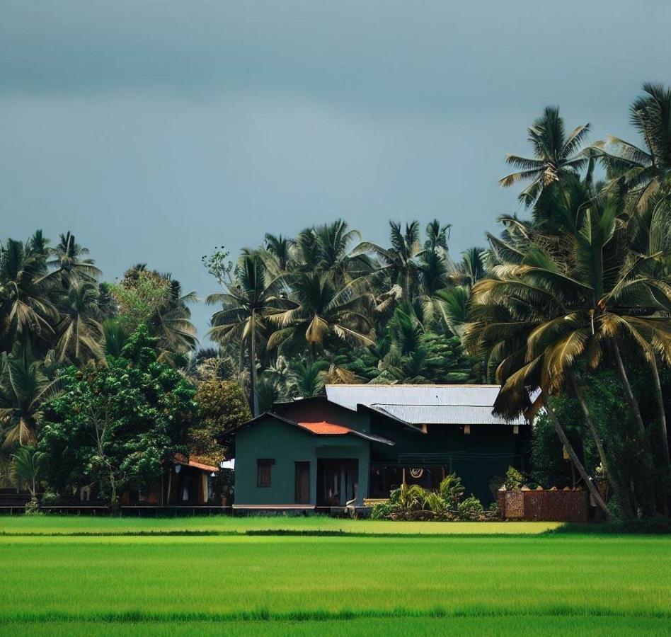 Coco Garden Holiday Homes Anuradhapura Exterior photo